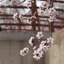 北京旅游 缩略图 14