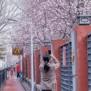 北京旅游 缩略图 9