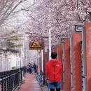 北京旅游 缩略图 12