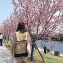 桂林旅游 缩略图 3