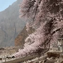 昆明旅游 缩略图 8
