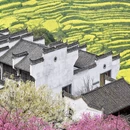 昆明旅游 缩略图 7