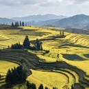 昆明旅游 缩略图 16