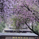 柳州旅游 缩略图 4