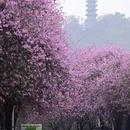 柳州旅游 缩略图 3