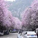 柳州旅游 缩略图 2