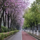柳州旅游 缩略图 6