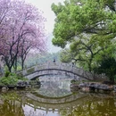 柳州旅游 缩略图 5