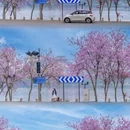 柳州旅游 缩略图 3