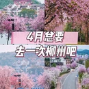 柳州旅游 缩略图 1