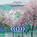 柳州旅游 缩略图 2