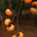 贺州旅游 缩略图 3