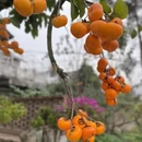 桂林旅游 缩略图 3