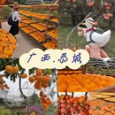 桂林旅游 缩略图 1