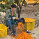 桂林旅游 缩略图 5
