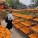 桂林旅游 缩略图 8