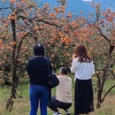 桂林旅游 缩略图 10