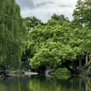 桂林旅游 缩略图 15