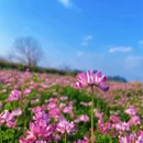 桂林旅游 缩略图 2