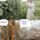 贺州旅游 缩略图 7