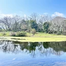 贺州旅游 缩略图 1