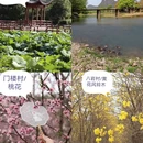 贺州旅游 缩略图 8