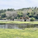 贺州旅游 缩略图 4