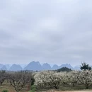 贺州旅游 缩略图 10