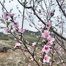 贺州旅游 缩略图 7