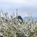 贺州旅游 缩略图 8