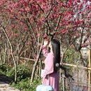 桂林旅游 缩略图 5