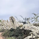 贺州旅游 缩略图 9