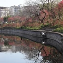 桂林旅游 缩略图 7