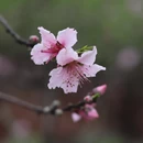 桂林旅游 缩略图 1