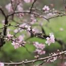 桂林旅游 缩略图 6