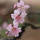 桂林旅游 缩略图 2