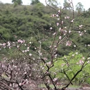 桂林旅游 缩略图 3
