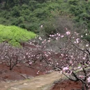 桂林旅游 缩略图 5