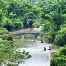 桂林旅游 缩略图 14