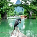 桂林旅游 缩略图 13