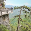 柳州旅游 缩略图 5