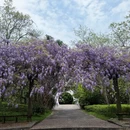 桂林旅游 缩略图 3