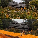 桂林旅游 缩略图 12