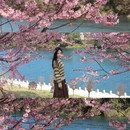 桂林旅游 缩略图 1