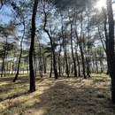 桂林旅游 缩略图 9