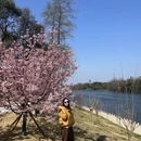 桂林旅游 缩略图 5