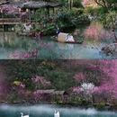 河池旅游 缩略图 3