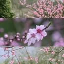 河池旅游 缩略图 10
