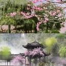 河池旅游 缩略图 5
