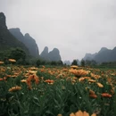 桂林旅游 缩略图 12